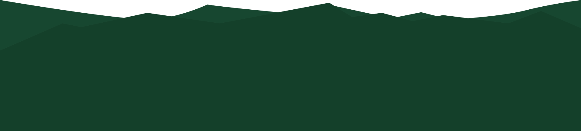 Footer Background